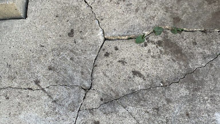 Durable Coatings Cracked Concrete